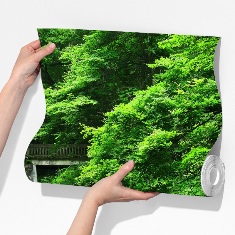 Fototapeta bujny zielony las z strumieniem i kamiennym mostem – Wallissimo® Fototapeta bujny zielony las z strumieniem i kamiennym mostem – Wallissimo®