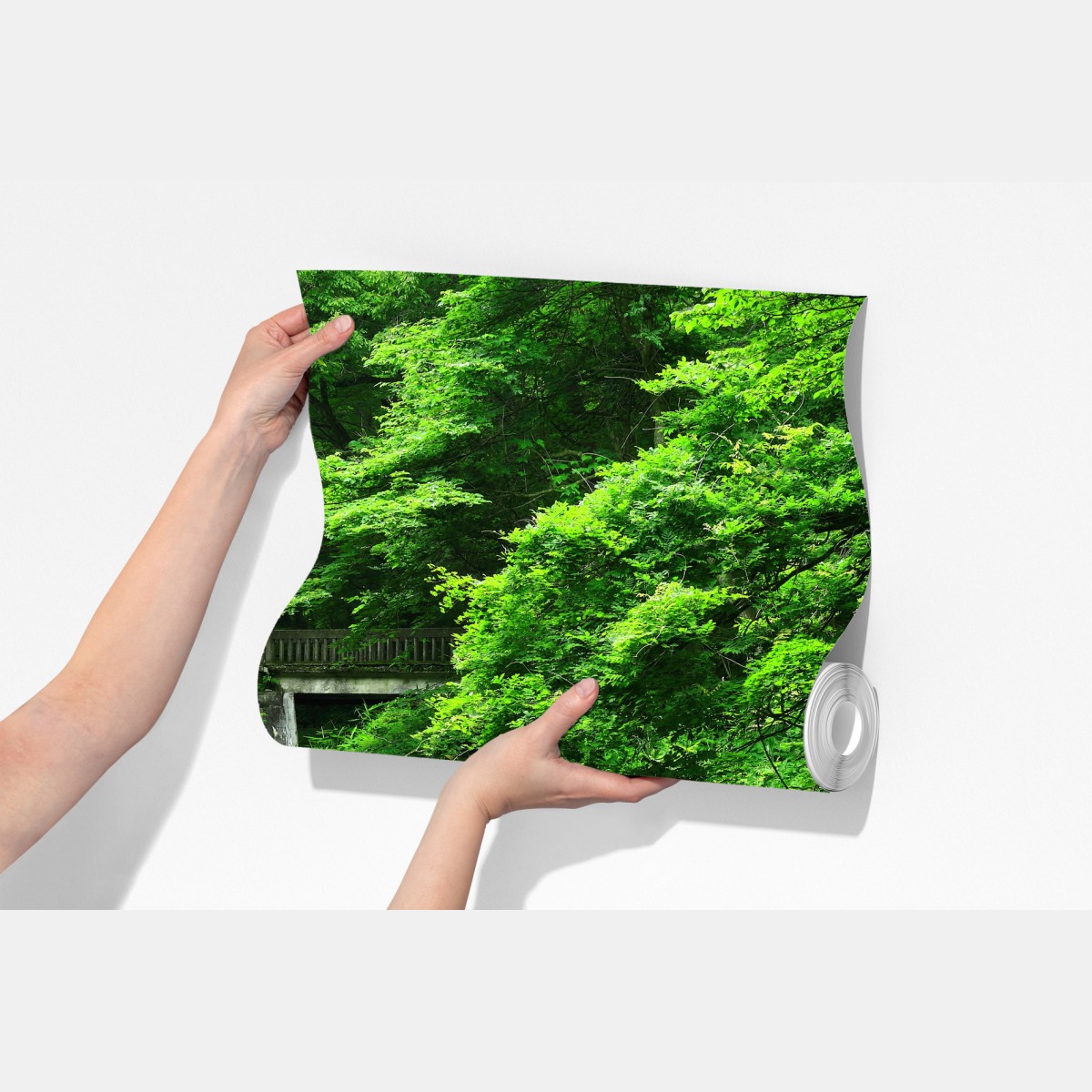 Fototapeta bujny zielony las z strumieniem i kamiennym mostem – Wallissimo® Fototapeta bujny zielony las z strumieniem i kamiennym mostem – Wallissimo®