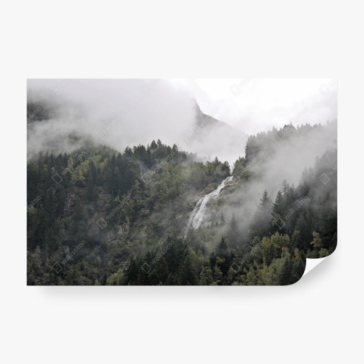 Fototapeta mglisty wodospad w górskim lesie – Wallissimo® Fototapeta mglisty wodospad w górskim lesie – Wallissimo®