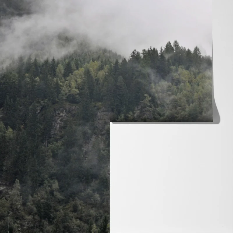 Fototapeta mglisty wodospad w górskim lesie – Wallissimo® Fototapeta mglisty wodospad w górskim lesie – Wallissimo®