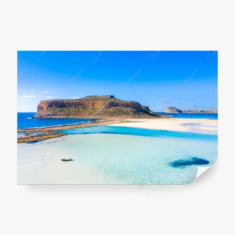 Fototapeta tropikalne kwiaty na turkusowym tle – Wallissimo®