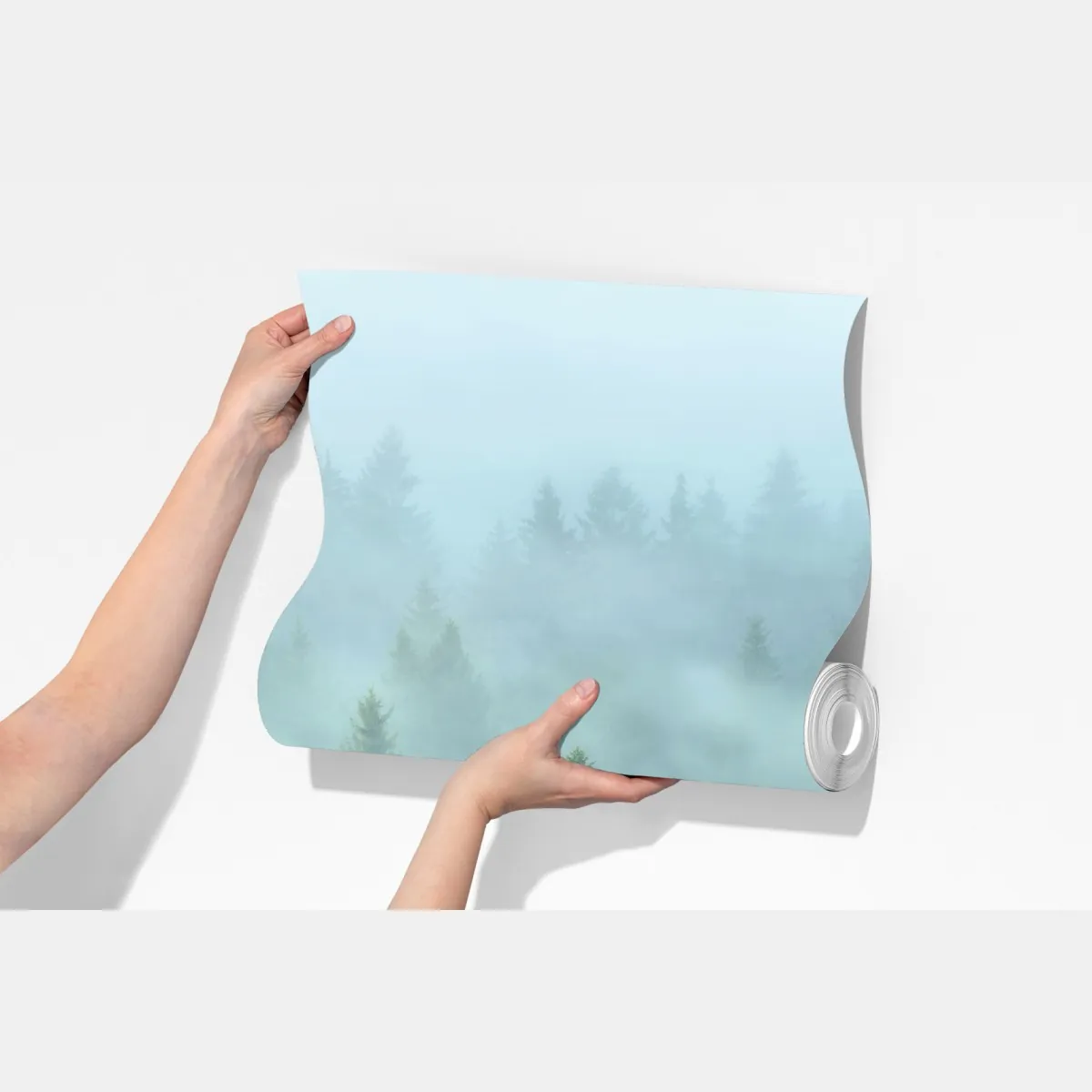 Fototapeta mglisty las jodłowy o poranku – Wallissimo® Fototapeta mglisty las jodłowy o poranku – Wallissimo®