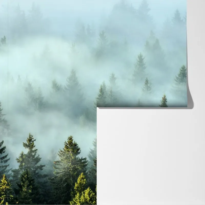 Fototapeta mglisty las jodłowy o poranku – Wallissimo® Fototapeta mglisty las jodłowy o poranku – Wallissimo®