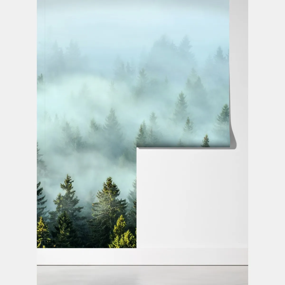 Fototapeta mglisty las jodłowy o poranku – Wallissimo® Fototapeta mglisty las jodłowy o poranku – Wallissimo®