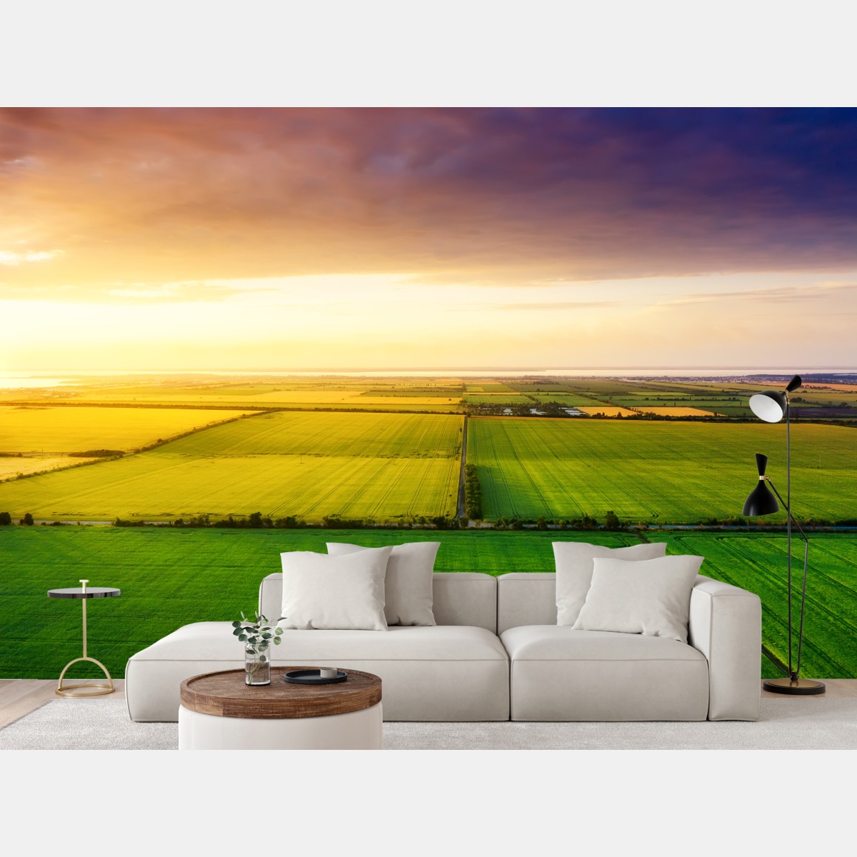 Wall mural golden sunset over green fields
