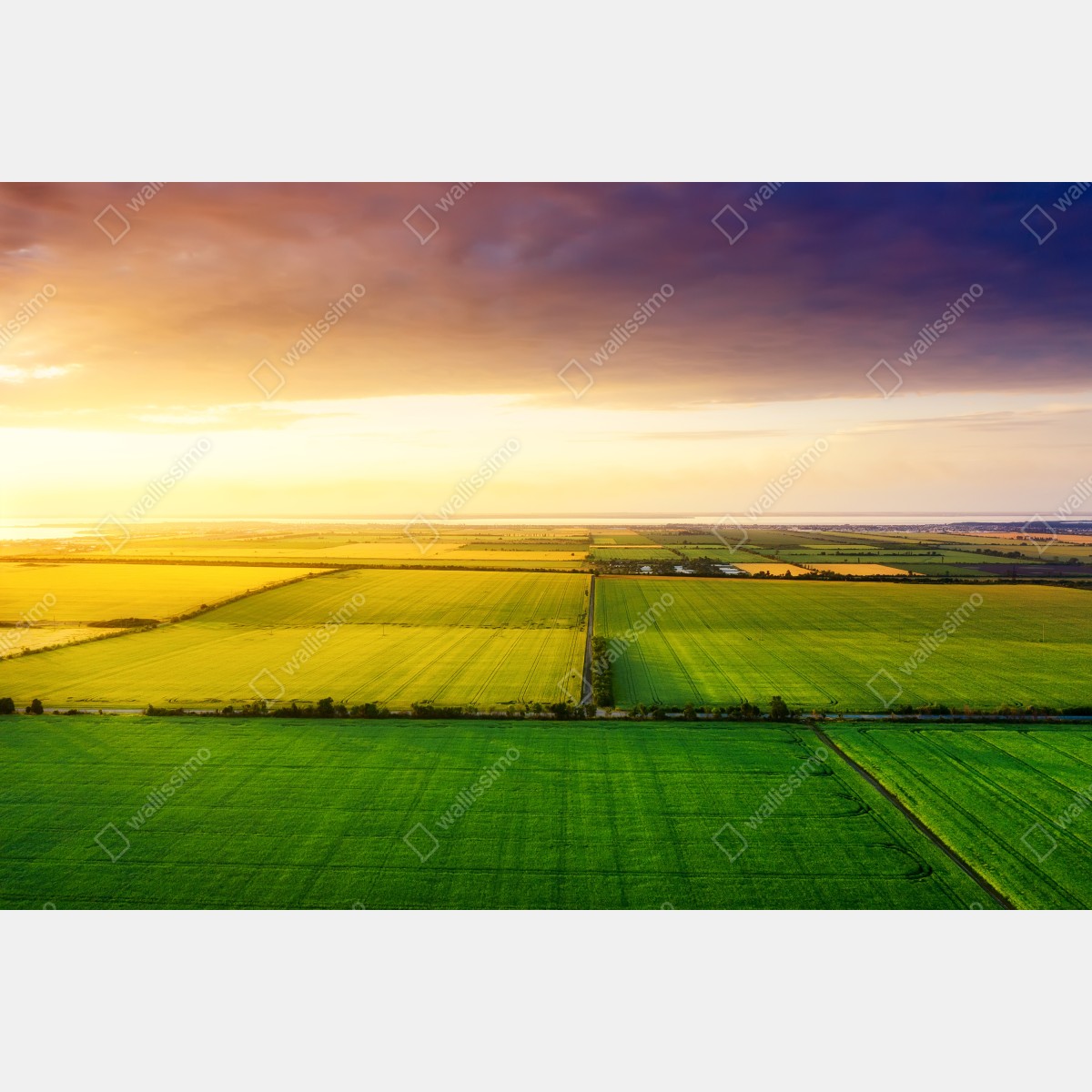 Fototapeta zachód słońca nad zielonymi polami – Wallissimo® Fototapeta zachód słońca nad zielonymi polami – Wallissimo®