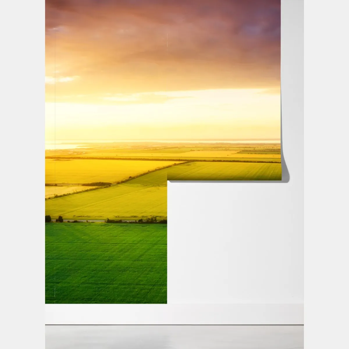 Fototapeta zachód słońca nad zielonymi polami – Wallissimo® Fototapeta zachód słońca nad zielonymi polami – Wallissimo®