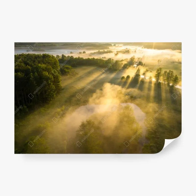 Fototapeta akwarelowy wzór strąków kakaowych – Wallissimo®