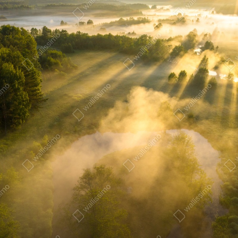 Fototapeta złote poranne światło nad mglistą rzeką – Wallissimo® Fototapeta złote poranne światło nad mglistą rzeką – Wallissimo®