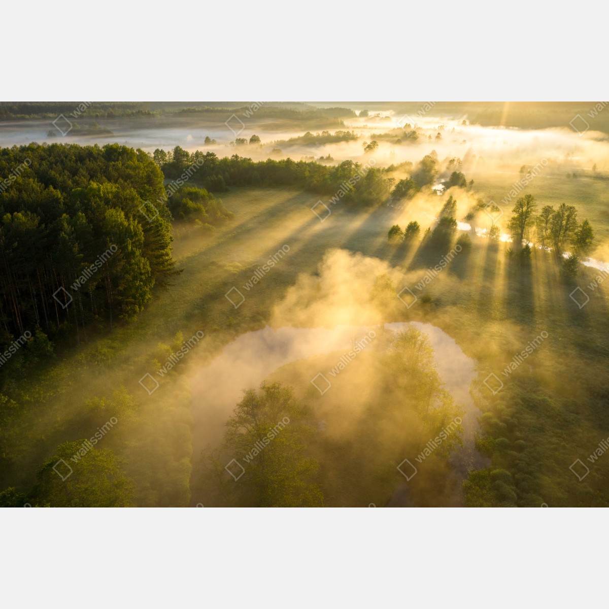Fototapeta złote poranne światło nad mglistą rzeką – Wallissimo® Fototapeta złote poranne światło nad mglistą rzeką – Wallissimo®