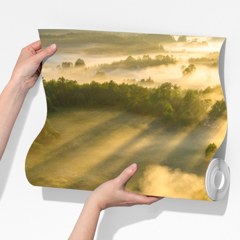 Fototapeta złote poranne światło nad mglistą rzeką – Wallissimo® Fototapeta złote poranne światło nad mglistą rzeką – Wallissimo®