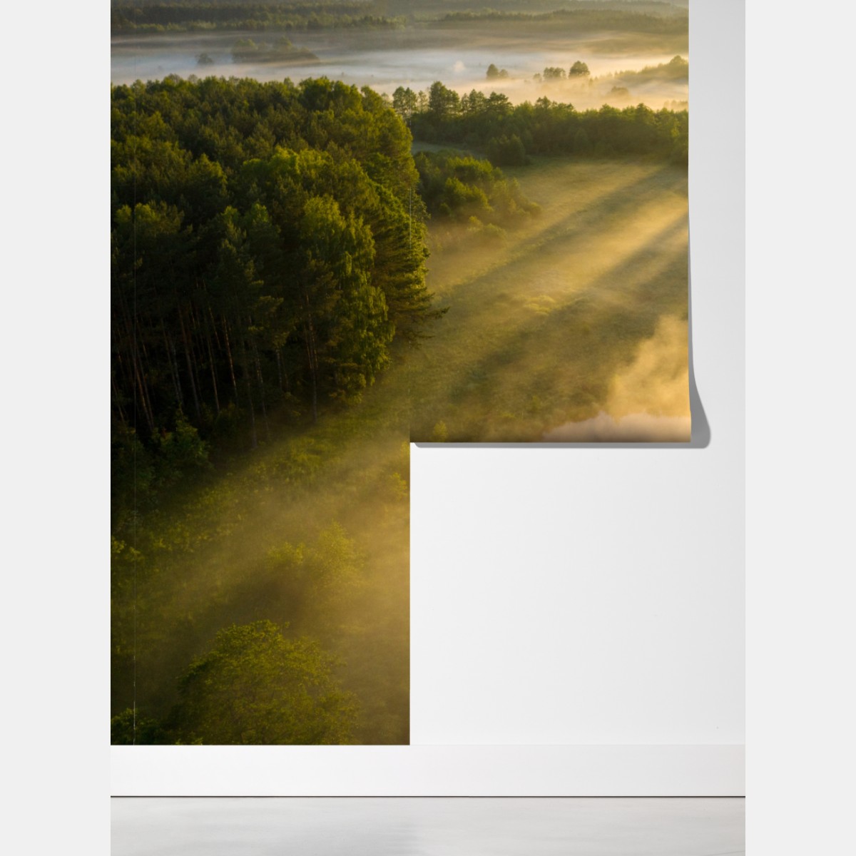 Fototapeta złote poranne światło nad mglistą rzeką – Wallissimo® Fototapeta złote poranne światło nad mglistą rzeką – Wallissimo®