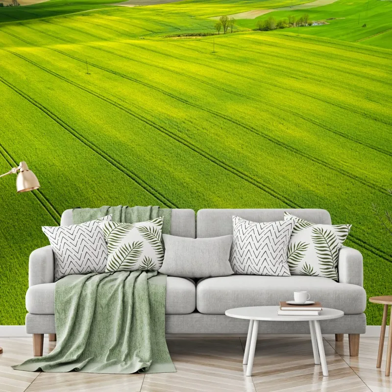 Fototapeta złote pola rzepaku z lotu ptaka