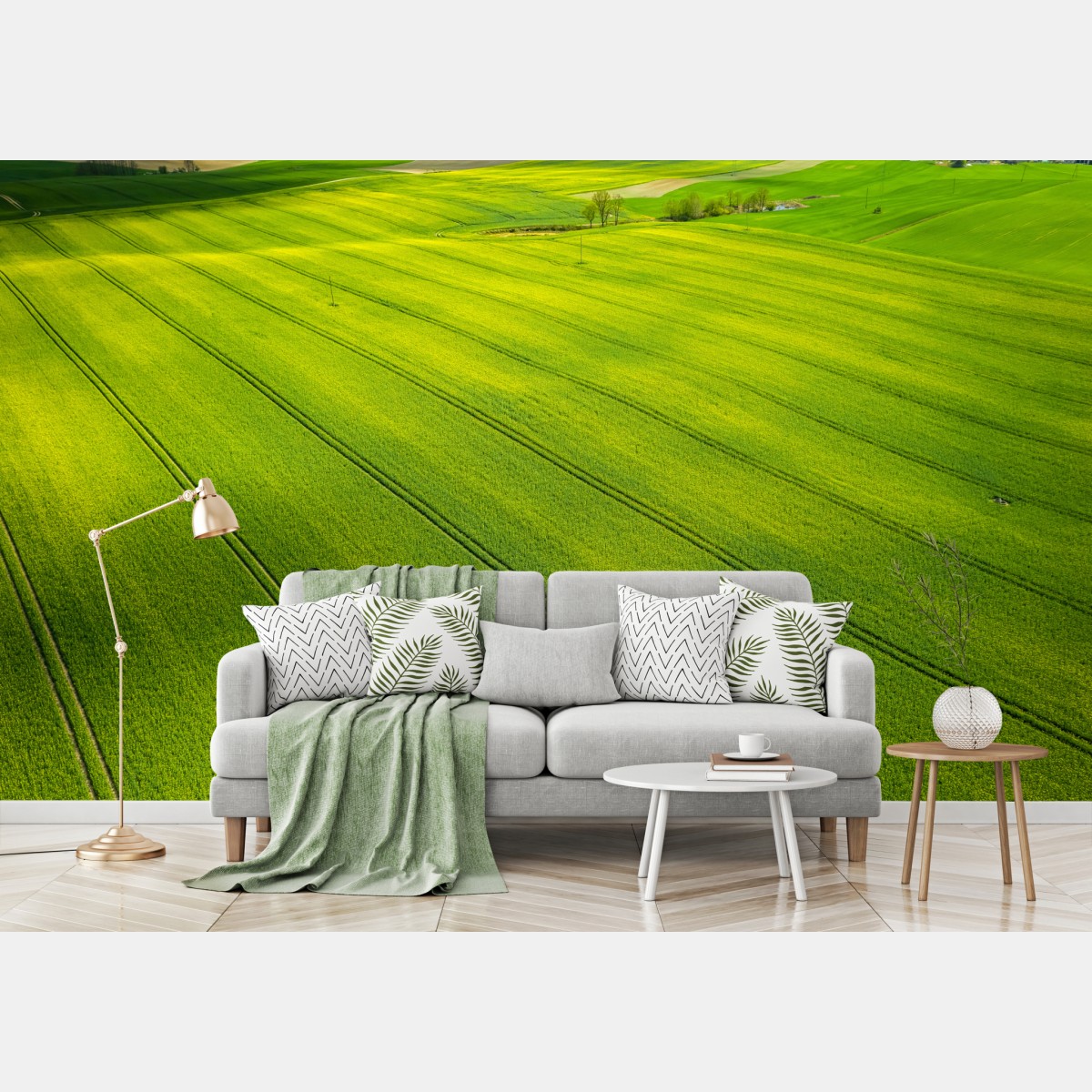 Wall mural golden rapeseed fields from above