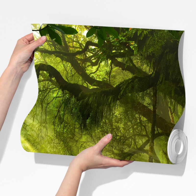 Fototapeta słoneczna leśna ścieżka – Wallissimo® Fototapeta słoneczna leśna ścieżka – Wallissimo®