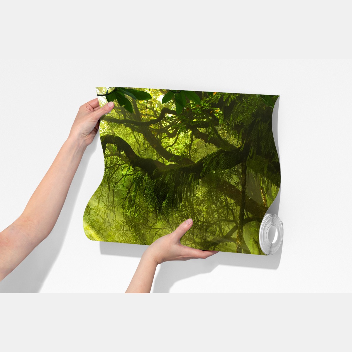 Fototapeta słoneczna leśna ścieżka – Wallissimo® Fototapeta słoneczna leśna ścieżka – Wallissimo®