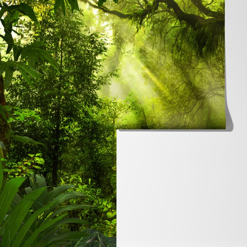 Fototapeta słoneczna leśna ścieżka – Wallissimo® Fototapeta słoneczna leśna ścieżka – Wallissimo®