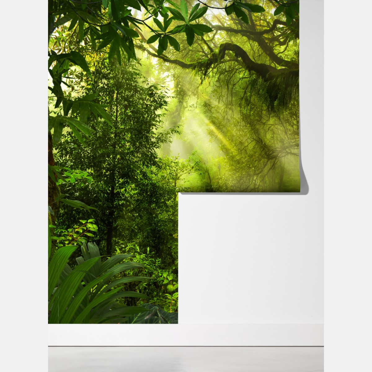 Fototapeta słoneczna leśna ścieżka – Wallissimo® Fototapeta słoneczna leśna ścieżka – Wallissimo®