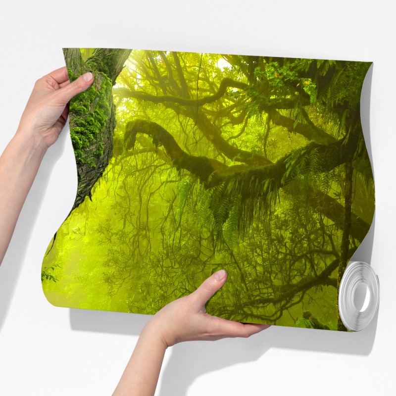 Fototapeta mistyczna zielona ścieżka w lesie – Wallissimo® Fototapeta mistyczna zielona ścieżka w lesie – Wallissimo®