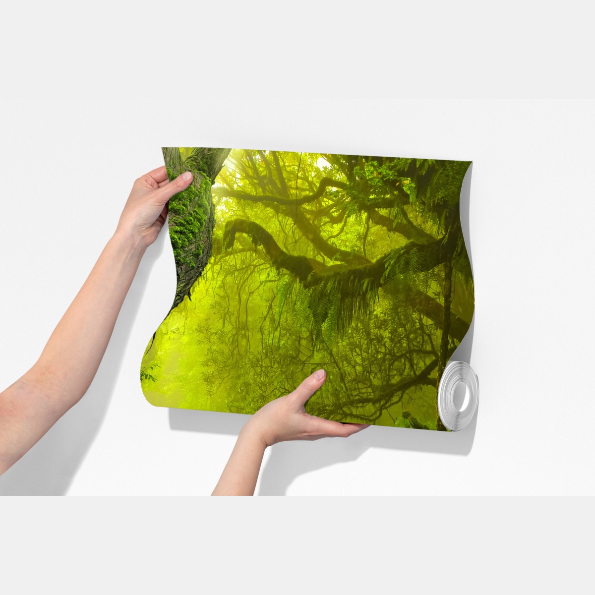 Fototapeta mistyczna zielona ścieżka w lesie – Wallissimo® Fototapeta mistyczna zielona ścieżka w lesie – Wallissimo®