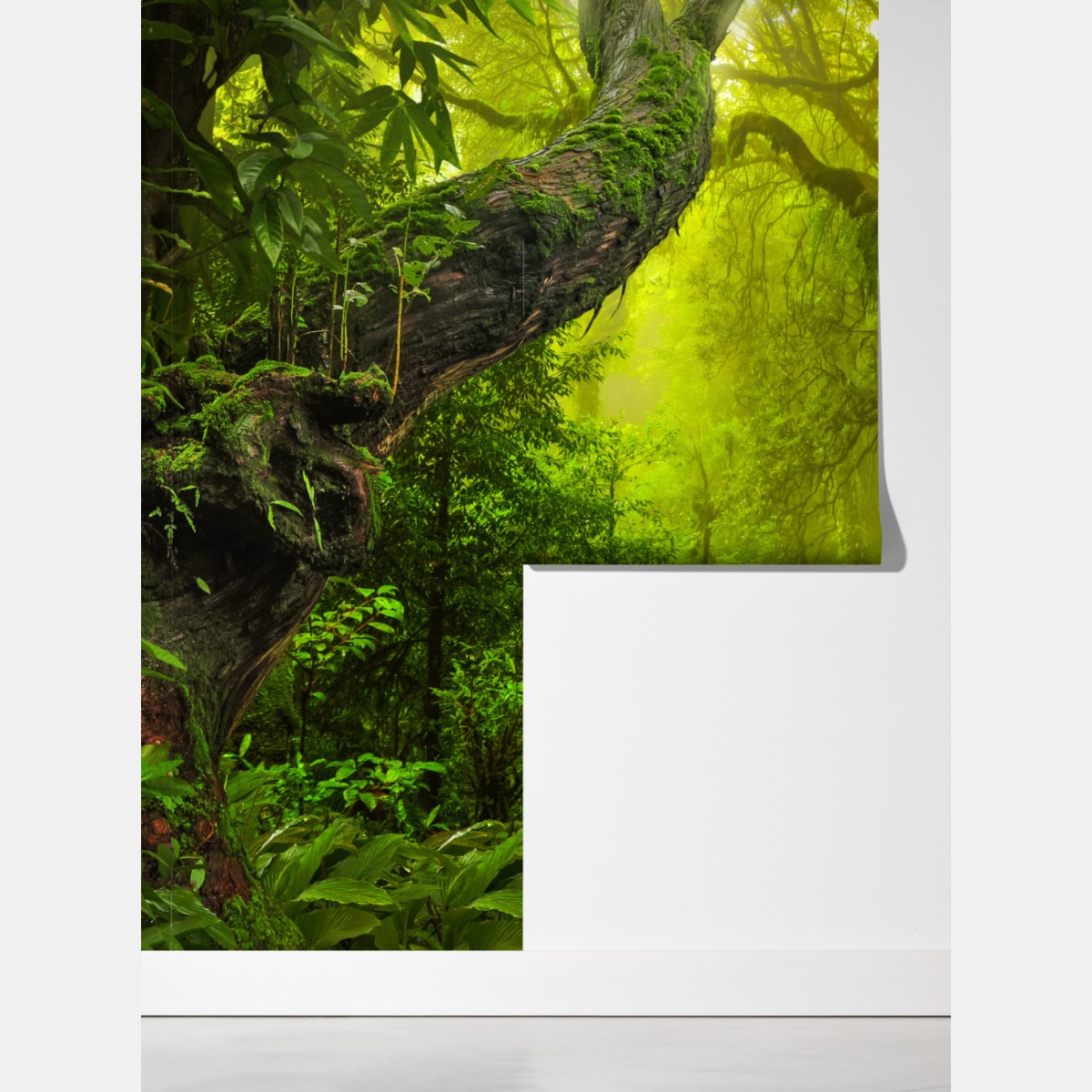 Fototapeta mistyczna zielona ścieżka w lesie – Wallissimo® Fototapeta mistyczna zielona ścieżka w lesie – Wallissimo®