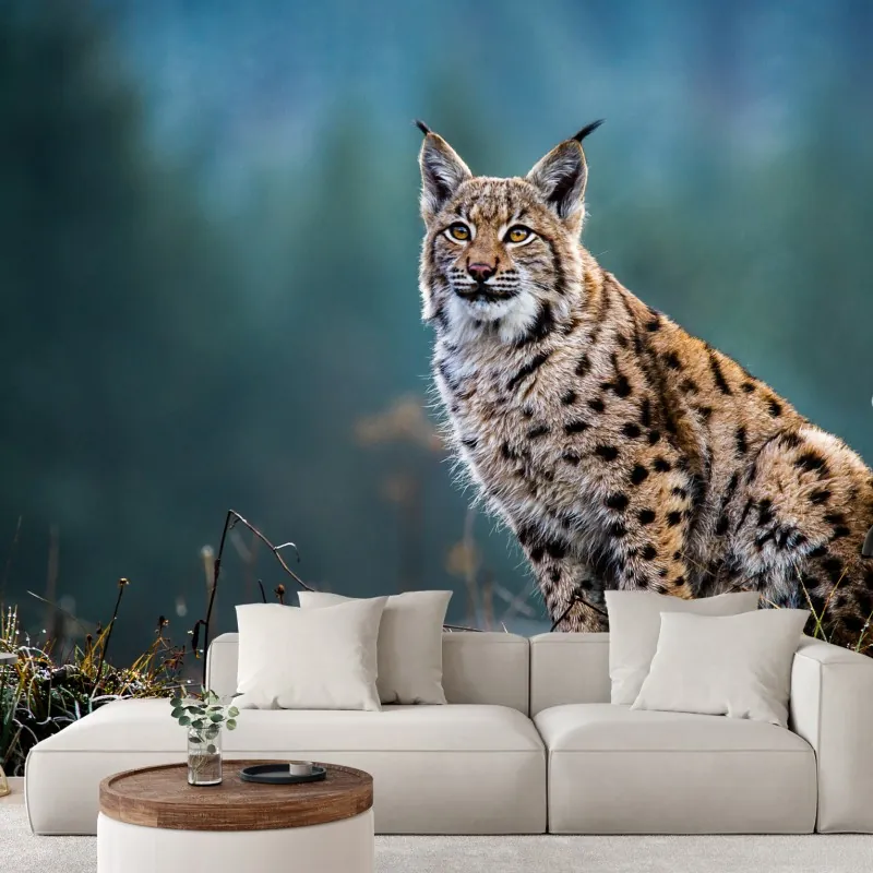 Fototapeta majestatyczny ryś w naturalnym środowisku – Wallissimo® Fototapeta majestatyczny ryś w naturalnym środowisku – Wallissimo®