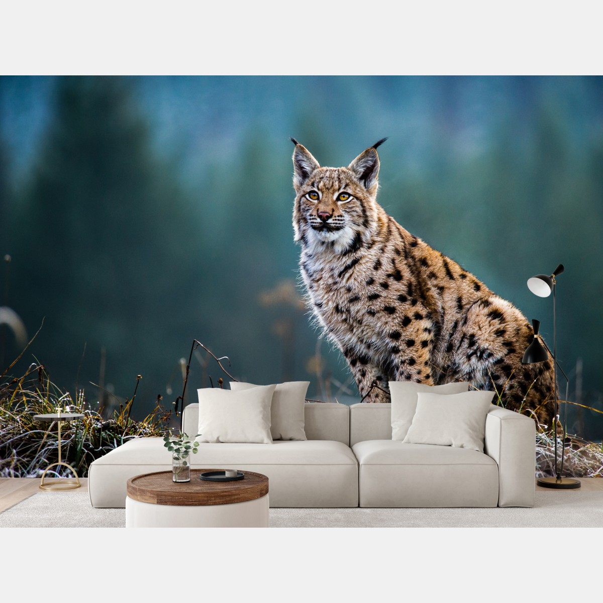 Wall mural majestic Eurasian lynx in natural habitat