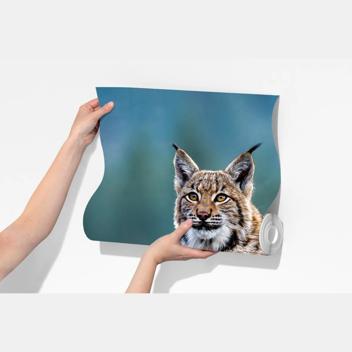 Fototapeta majestatyczny ryś w naturalnym środowisku – Wallissimo® Fototapeta majestatyczny ryś w naturalnym środowisku – Wallissimo®