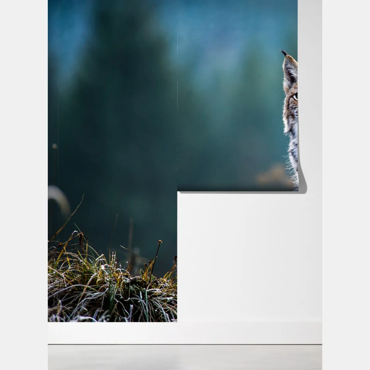 Fototapeta majestatyczny ryś w naturalnym środowisku – Wallissimo® Fototapeta majestatyczny ryś w naturalnym środowisku – Wallissimo®