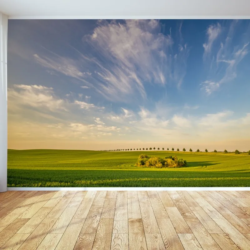 Fototapeta zielona łąka z rzędami młodych drzew