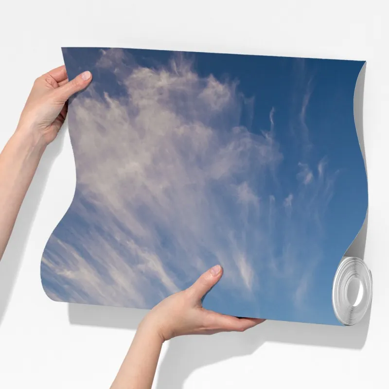 Fototapeta zielona łąka z rzędami młodych drzew – Wallissimo® Fototapeta zielona łąka z rzędami młodych drzew – Wallissimo®