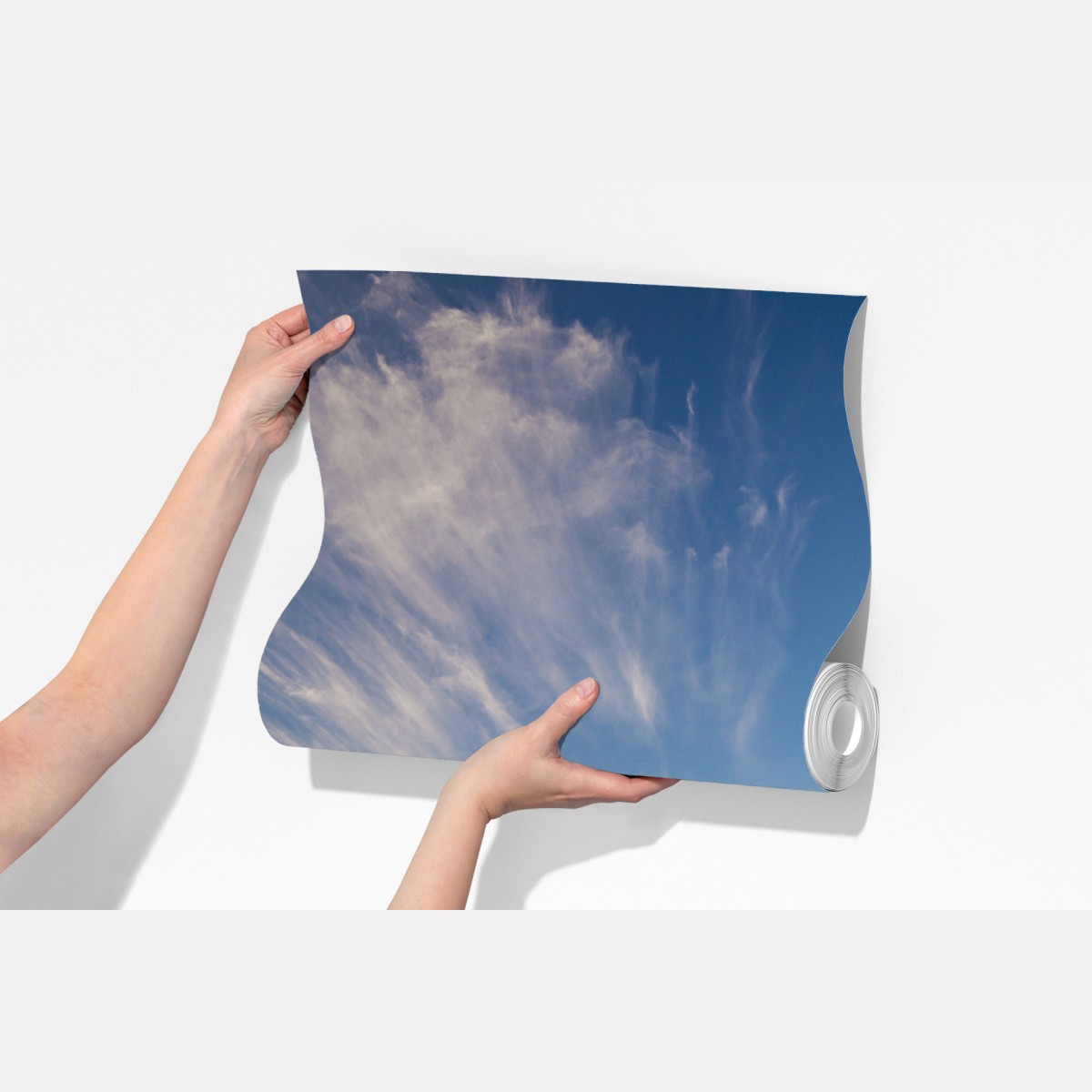 Fototapeta zielona łąka z rzędami młodych drzew – Wallissimo® Fototapeta zielona łąka z rzędami młodych drzew – Wallissimo®