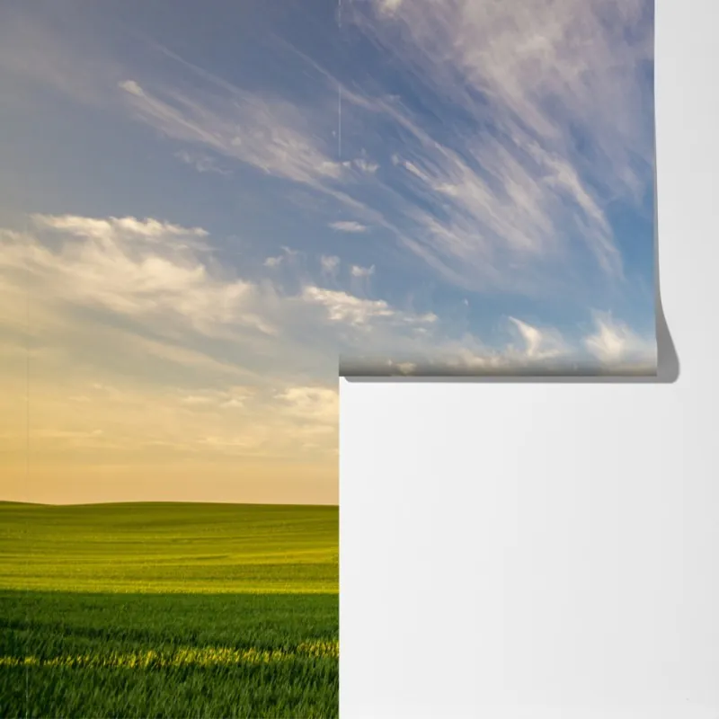 Fototapeta zielona łąka z rzędami młodych drzew – Wallissimo® Fototapeta zielona łąka z rzędami młodych drzew – Wallissimo®