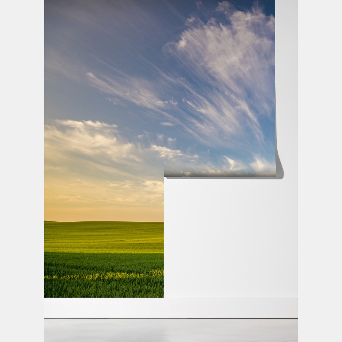 Fototapeta zielona łąka z rzędami młodych drzew – Wallissimo® Fototapeta zielona łąka z rzędami młodych drzew – Wallissimo®