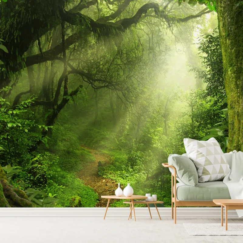 Fototapeta słoneczna leśna ścieżka pokryta mchem