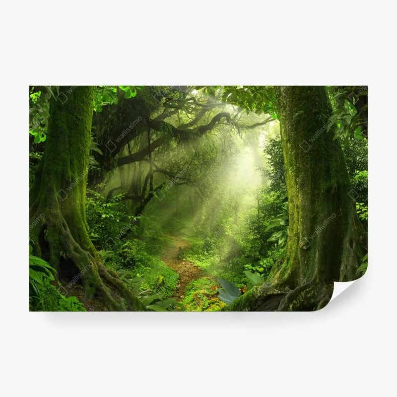 Fototapeta pastelowa turkusowa plaża z lotu ptaka – Wallissimo®