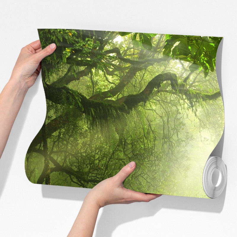 Fototapeta słoneczna leśna ścieżka pokryta mchem – Wallissimo® Fototapeta słoneczna leśna ścieżka pokryta mchem – Wallissimo®