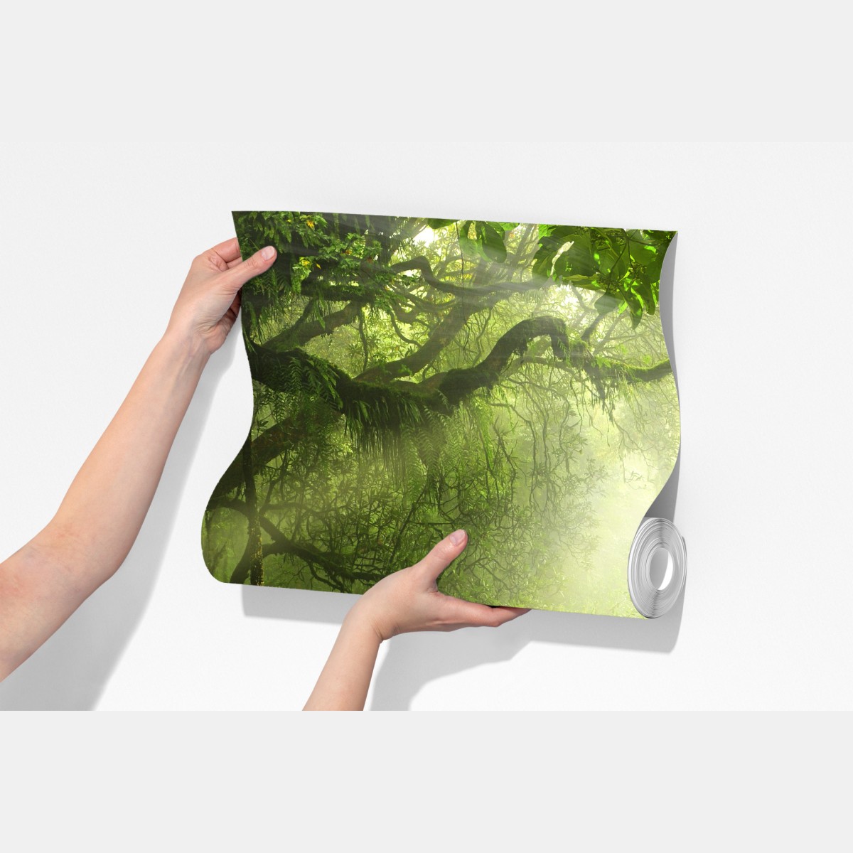 Fototapeta słoneczna leśna ścieżka pokryta mchem – Wallissimo® Fototapeta słoneczna leśna ścieżka pokryta mchem – Wallissimo®