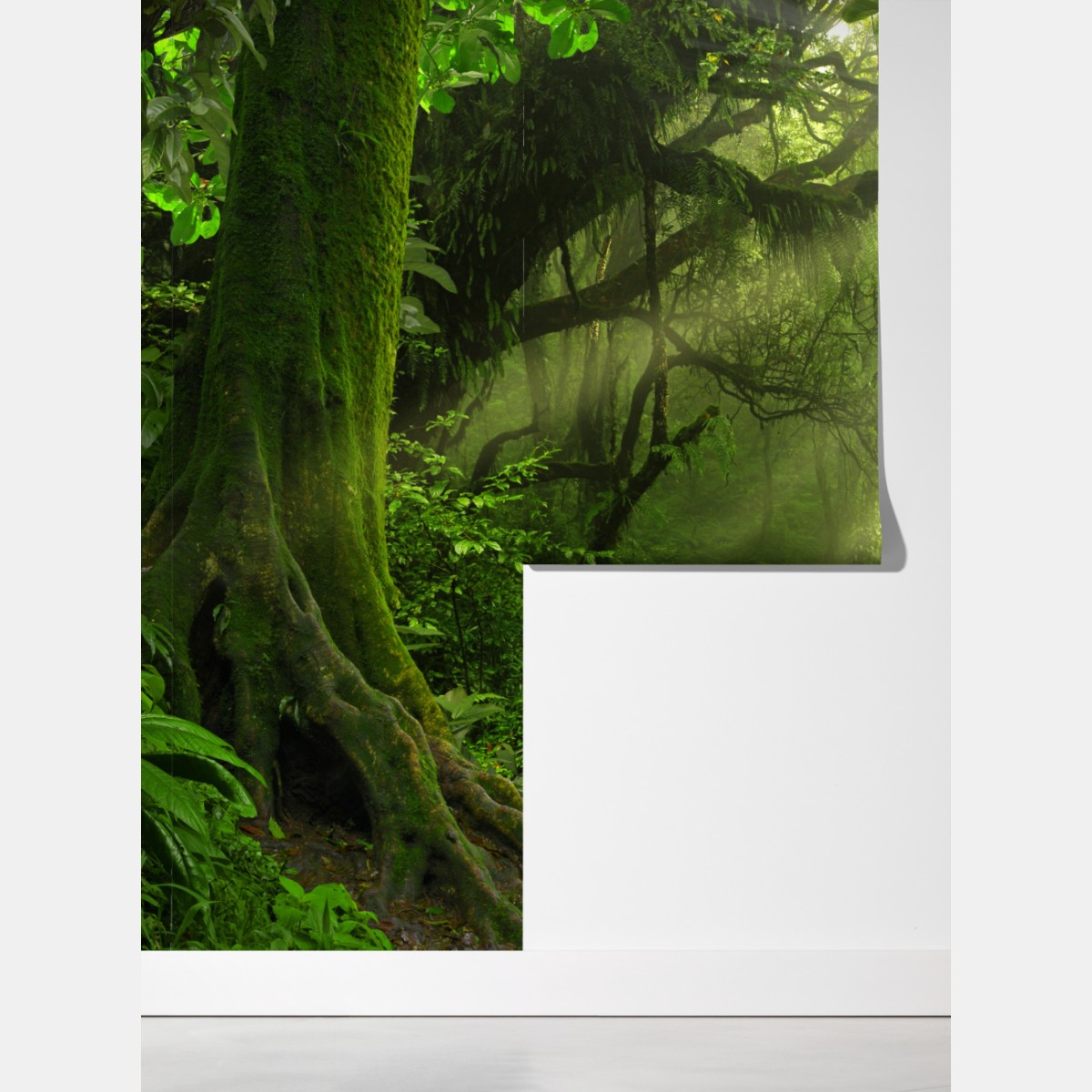 Fototapeta słoneczna leśna ścieżka pokryta mchem – Wallissimo® Fototapeta słoneczna leśna ścieżka pokryta mchem – Wallissimo®