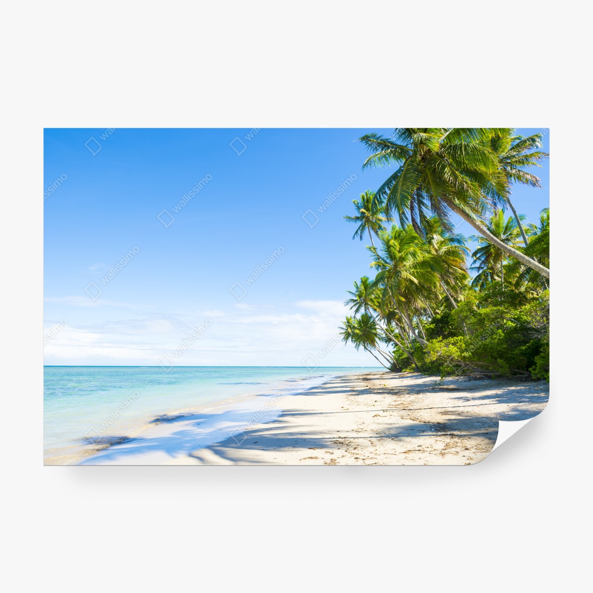 Fototapeta tropikalna plaża z palmami – Wallissimo® Fototapeta tropikalna plaża z palmami – Wallissimo®