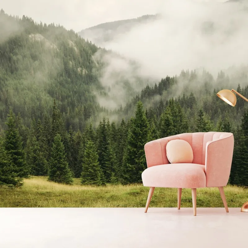 Fototapeta mglisty las iglasty