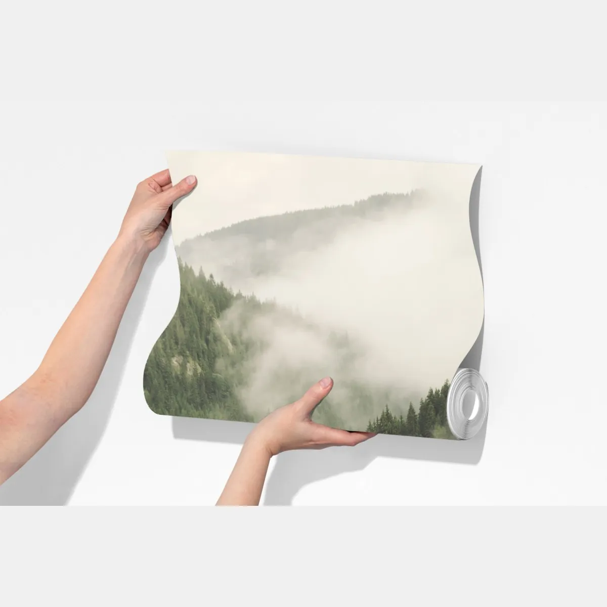 Fototapeta mglisty las iglasty – Wallissimo® Fototapeta mglisty las iglasty – Wallissimo®