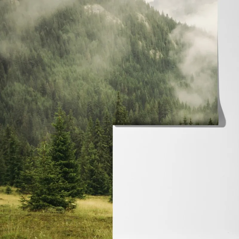 Fototapeta mglisty las iglasty – Wallissimo® Fototapeta mglisty las iglasty – Wallissimo®