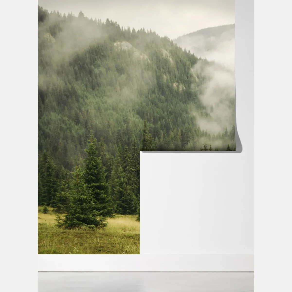 Fototapeta mglisty las iglasty – Wallissimo® Fototapeta mglisty las iglasty – Wallissimo®