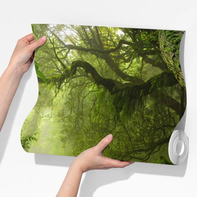 Fototapeta bujna mglista leśna ścieżka – Wallissimo® Fototapeta bujna mglista leśna ścieżka – Wallissimo®