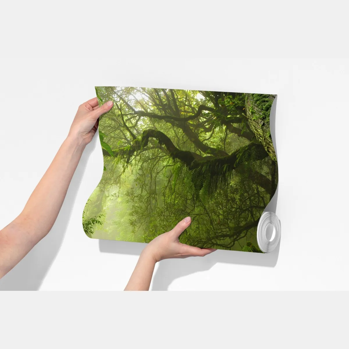 Fototapeta bujna mglista leśna ścieżka – Wallissimo® Fototapeta bujna mglista leśna ścieżka – Wallissimo®