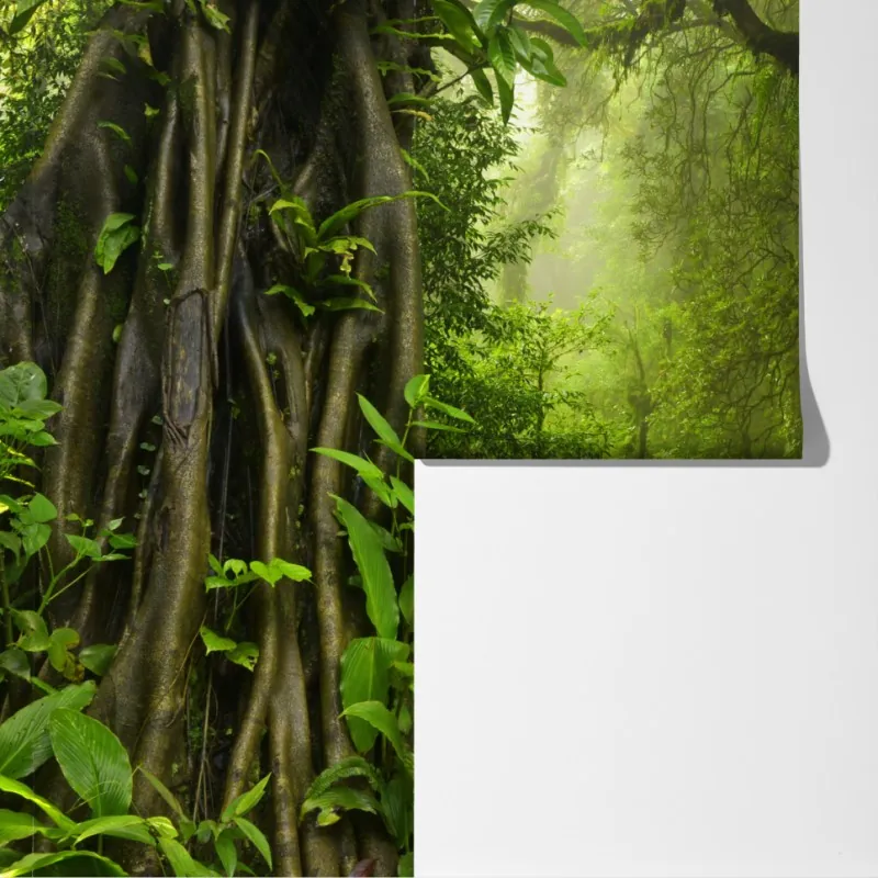 Fototapeta bujna mglista leśna ścieżka – Wallissimo® Fototapeta bujna mglista leśna ścieżka – Wallissimo®