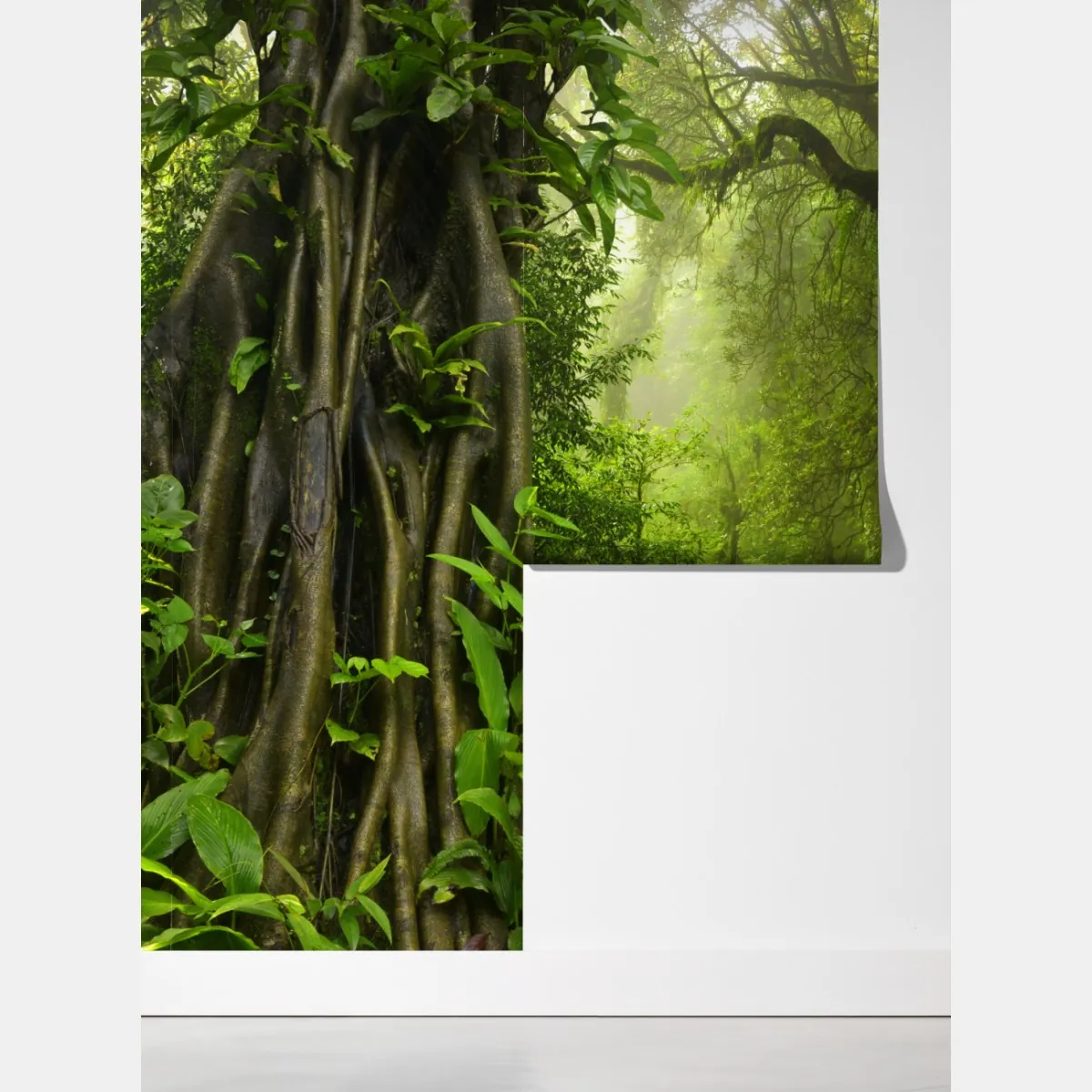 Fototapeta bujna mglista leśna ścieżka – Wallissimo® Fototapeta bujna mglista leśna ścieżka – Wallissimo®