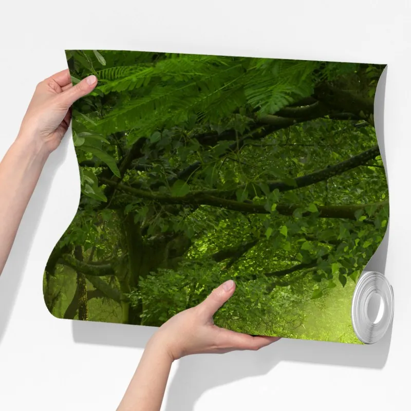 Fototapeta mglista kładka w tropikalnej dżungli – Wallissimo® Fototapeta mglista kładka w tropikalnej dżungli – Wallissimo®