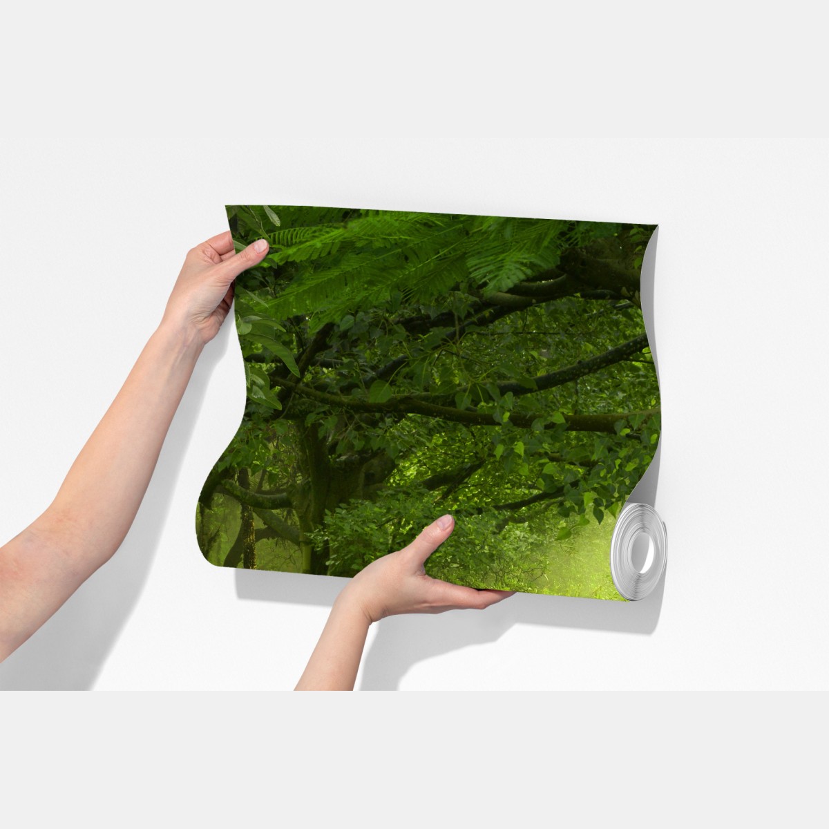 Fototapeta mglista kładka w tropikalnej dżungli – Wallissimo® Fototapeta mglista kładka w tropikalnej dżungli – Wallissimo®